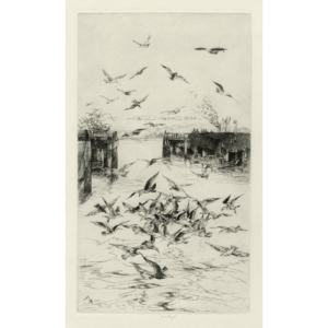 Flying Gulls