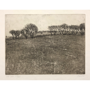Old Corn