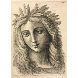 Lauretta
