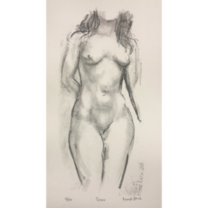 Torso