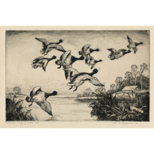Mallards Winging South