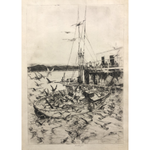 Gulls Feeding, G