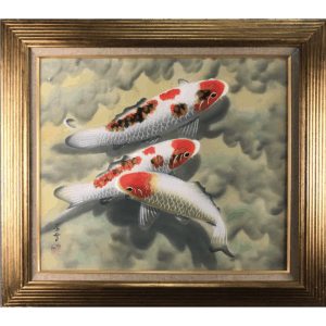 Carp (Koi)