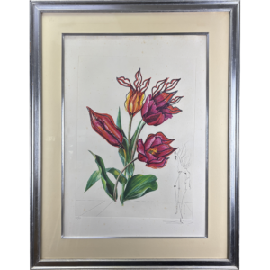 Tulipa credeliter basiantes